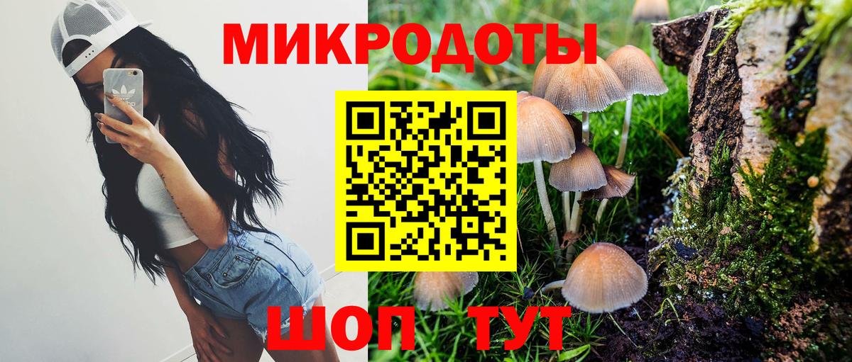 Галлюциногенные грибы прущие грибы  Вход с VPN  Михайловка  Псилоцибиновые грибы MAGIC MUSHROOMS 