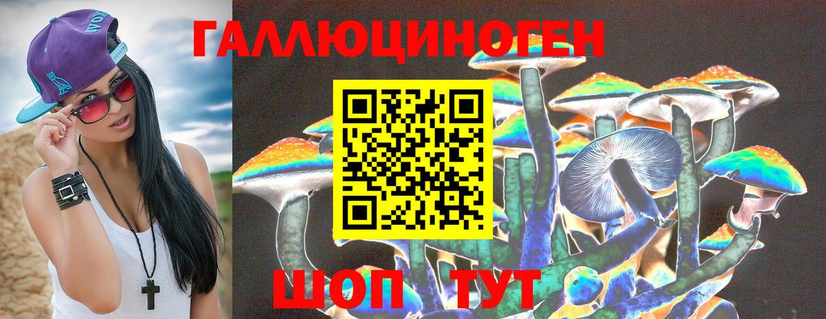 Галлюциногенные грибы Psilocybe Михайловка